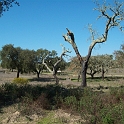 2009_portugal 210